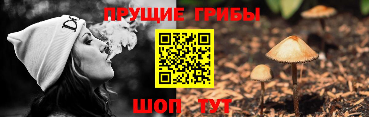 Бутурлиновка  Галлюциногенные грибы Cubensis  Вход с VPN 